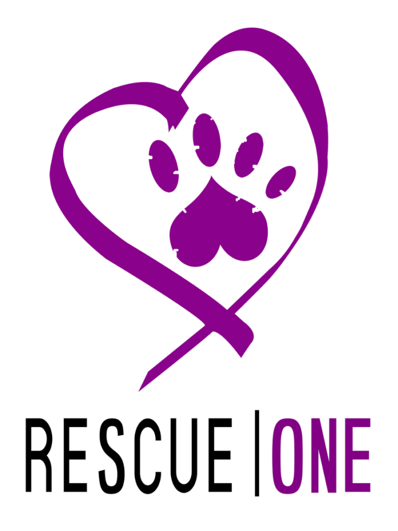 Rescue One Car Magnet - PRE ORDER ONLY!