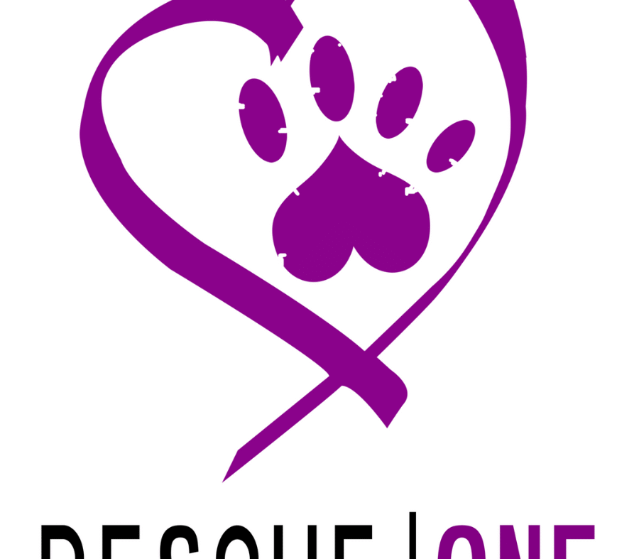 Rescue One Car Magnet - PRE ORDER ONLY!